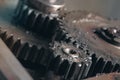 Working set of interrelated gearwheels Royalty Free Stock Photo
