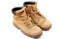 Working shoe Royalty Free Stock Photo