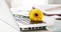 Working space or working place with laptop, flowers and coffee o Royalty Free Stock Photo