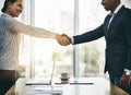 Working together will greatly benefit our company. two businesspeople shaking hands in an office.