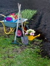 Working tools in the garden on a spring day Royalty Free Stock Photo