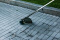 Working trimer. A worker mows the grass on the lawn and paths in the park. Territory care Royalty Free Stock Photo