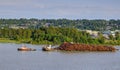 A working tugboat towing a cargo ship full of logs on a river