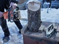 Working with an untreated tree trunk with a chainsaw