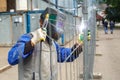 Working welder cooks metal structures. Royalty Free Stock Photo