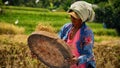 Working woman at the bali risefields