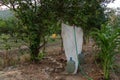 Makeshift Shower on Zero Waste Farm