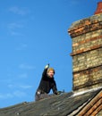 Workman on house roof doing repairs and Victorian Chimney.