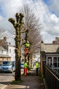 Workmen pollarding trees in Dorchester Royalty Free Stock Photo