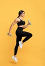Workout concept. Full length shot of young black woman in sportswear exercising with two dumbbells, yellow background Royalty Free Stock Photo