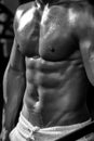 Workout in the gym. muscular male wet torso Royalty Free Stock Photo