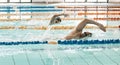 Workout, sports and a swimmer in a pool during a race, competition or cardio training at a gym. Exercise, water and Royalty Free Stock Photo