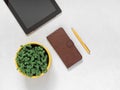 Workplace accessories for working online. Tablet, phone, pen, flower pot with fresh microgreen basil on white background Royalty Free Stock Photo