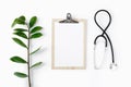 Workplace doctor clipboard stethoscope branch zamioculcas