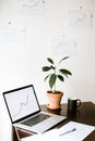 workplace of investment manager with with green plant and cup of coffee Royalty Free Stock Photo