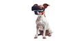 dog wearing VR glasses, portraying an adventurous explorer ready to embark on virtual adventures