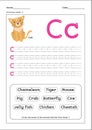 worksheet learn write with cing leter C