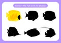 Worksheet connect the fish with its shadow. Educational game for children. Trains attention and concentration