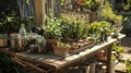 The workshop area also includes a demonstration table where experts lead handson classes on gardening techniques