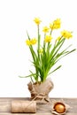 Spring yellow narcissus, golden easter egg and thread or rope Royalty Free Stock Photo