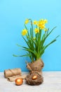 Spring yellow narcissus, golden easter egg and thread or rope Royalty Free Stock Photo