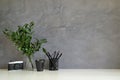 Workspace camera, coffee, pencil and plant decorate on white desk and loft wall