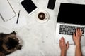 Workspace with female hands on a laptop keyboard and cat, cup of coffee, tablet, smartphone, notebook. Top view of