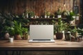 Workspace mockup with a blank laptop screen, a desk and indoor green plants