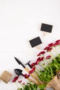 Workspace, Planting spring flowers. Garden tools, plants in pots and watering can on white table. Top view, space for text Royalty Free Stock Photo