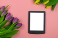 Tulips and tablet with white mockup screen on pink background. Greeting card for Easter or Women`s Day Royalty Free Stock Photo