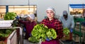 Workwoman working on sorting line in vegetable factory, packing selected fresh green lettuce in plastic boxes for Royalty Free Stock Photo