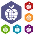 World apple icons vector hexahedron