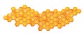 World Bee day. Honeycomb watercolor drawing. Element design hexagonal bee honeycombs. Concept save the bees and ecology and