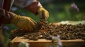 world of bees as you gaze upon a hexagonal honeycomb