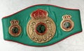 World Belt Boxing champion. UBO. Royalty Free Stock Photo
