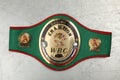 World Belt Boxing champion WBC. Royalty Free Stock Photo