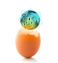 world business concept with a glowing global egg Royalty Free Stock Photo