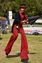 World Buskers Festival 2012 - Master Puff Royalty Free Stock Photo