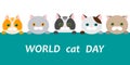 World cat day. Vector illustration. Faces of cats of different b