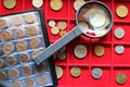 Numismatic, world coins collection on a red tray.