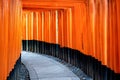 Red gate way, torii corridor in Fushimi Inari Taisha, Kyoto, Japan Royalty Free Stock Photo