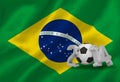 World cup 2014 with brasil flag Royalty Free Stock Photo