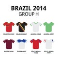 World Cup Brazil 2014 - group F teams football jerseys