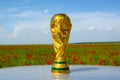 World cup trophy