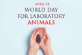 World Day for Laboratory Animals, 24 april. Female hands with a laboratory mouse on a blue background
