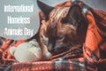 World day of stray animals. 18 August. International Homeless Animals Day. Royalty Free Stock Photo