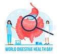 World digestive day is celebrated in 29 May. Intestine probiotic bacteria, lactobacillus info-graphic illustration