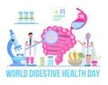 World digestive day is celebrated in 29 May. Intestine probiotic bacteria, lactobacillus info-graphic illustration