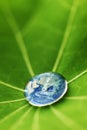 The world in a drop of water Royalty Free Stock Photo