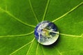 The world in a drop of water Royalty Free Stock Photo